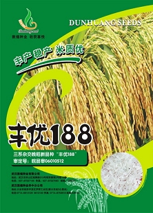 豐優188